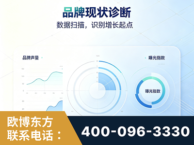宜宾-品牌现状诊断